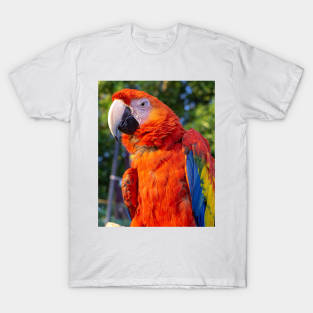 WORLD WILDLIFE DAY T-Shirt